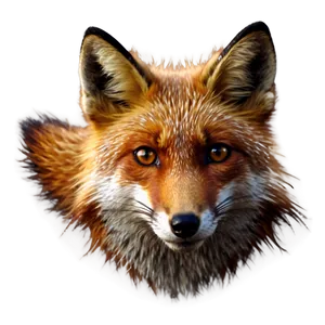 Red Fox Eyes Png Csi35 PNG Image