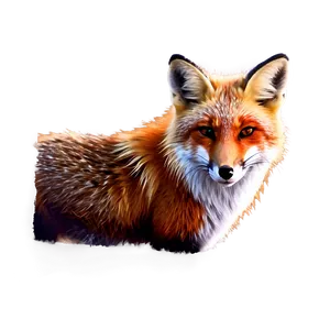 Red Fox Glance Png Cmj PNG Image