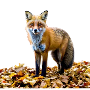 Red Fox In Autumn Png Gnh PNG Image