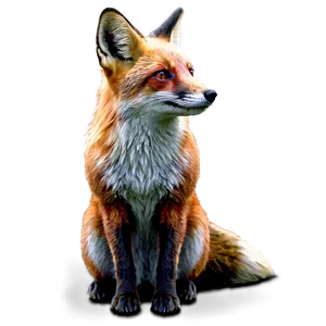 Red Fox Sitting Png 30 PNG Image