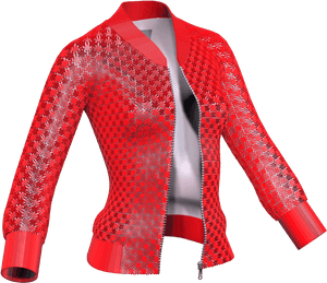 100 Bomber Jackets Danit Peleg, HD Png Download PNG image with transparent background