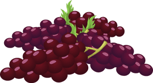 Seedless Fruit,grape Seed Extract,grape - Cluster Of Grapes Clipart, HD Png Download PNG with transparent background
