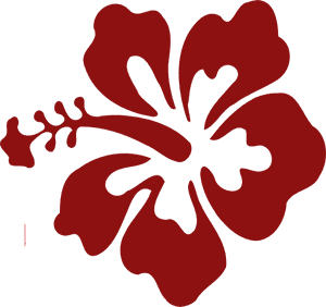 Red Hibiscus Silhouette PNG image with transparent background