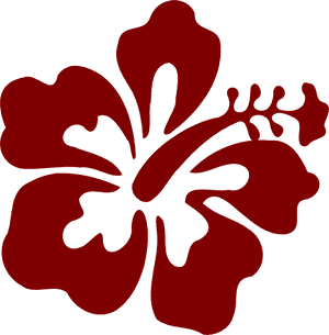 Red Hibiscus Silhouette Graphic PNG image with transparent background