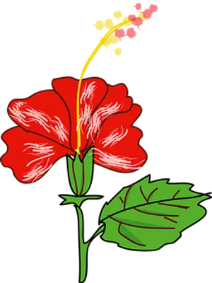 Red Hibiscus Vector Illustration PNG Image