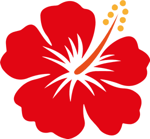 Red Hibiscus Vector Illustration PNG image with transparent background