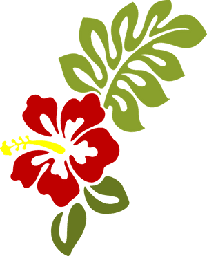 Red Hibiscus Vector Illustration PNG image with transparent background