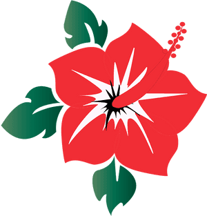 Red Hibiscus Vector Illustration PNG image with transparent background