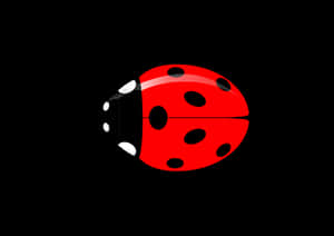 Red Ladybug Graphicon Black Background PNG image with transparent background