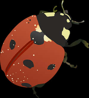 Red Ladybug Illustration PNG image with transparent background