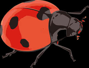 Red Ladybug Illustration PNG image with transparent background