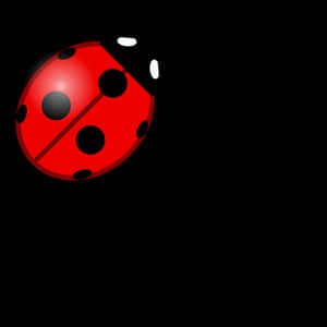Red Ladybug Illustration PNG image with transparent background