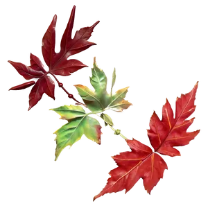 Red Leaves Falling Png 06132024 PNG Image