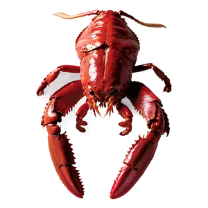 Red Lobster Graphic Design Png 06242024 PNG Image