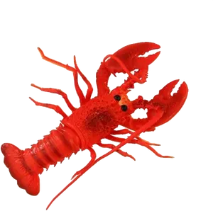 Red Lobster Illustration PNG Image