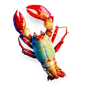 Red Lobster On White Background Png Xxf76 PNG Image