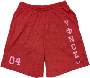 Red Mesh Basketball Shorts04 PNG Image