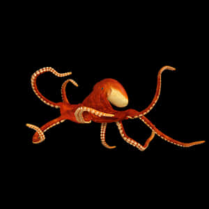 Red Octopus Black Background PNG image with transparent background
