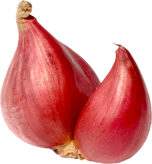 Shallot Onion Png, Transparent Png PNG image with transparent background