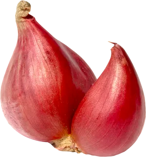 Red Onion Closeup PNG Image