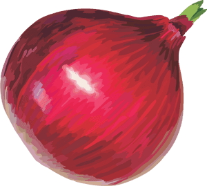 Onion Vector Png - Onion Clipart Png, Transparent Png PNG image with transparent background