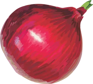 Red Onion Illustration PNG Image