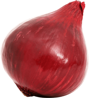 Onion, HD Png Download PNG image with transparent background