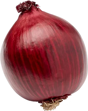 Red Onion Single PNG Image