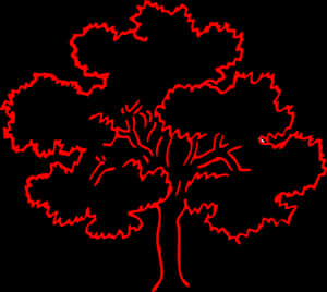 Outline Pictures Of Tree, HD Png Download PNG