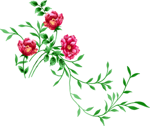 Flower Clip Art, HD Png Download PNG