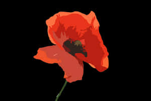 Red Poppy Vector Art PNG image with transparent background