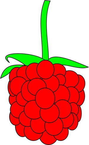 Red Raspberry Vector Illustration PNG Image