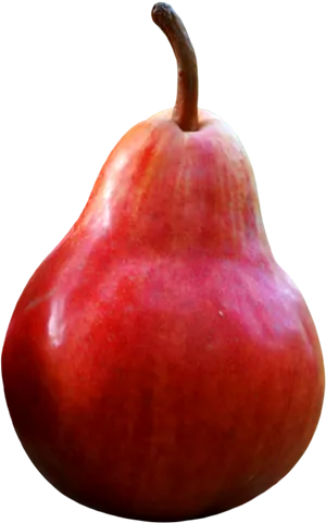 Red Ripe Pear Fruit PNG Image