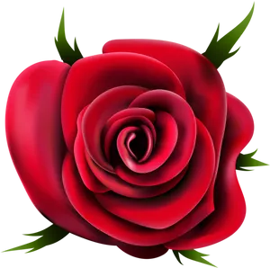 Red Rose Black Background PNG Image