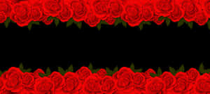 Red Rose Border Black Background PNG image with transparent background