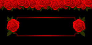 Red Rose Border Design PNG image with transparent background