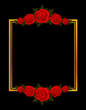 Red Rose Frameon Black Background PNG image with transparent background