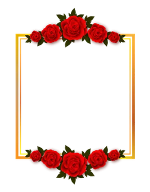 Red Rose Frameon Black Background PNG Image