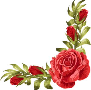 Red Rose Leaf Border Design PNG Image