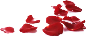 Red Rose Petals Falling Black Background PNG Image