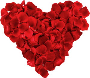 Transparent Red Bed Clipart - Rose Petal Heart Png, Png Download PNG image with transparent background