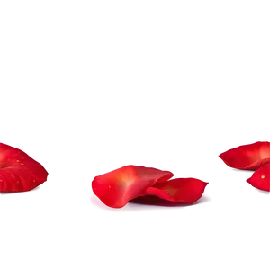 Red Rose Petals Png 06292024 PNG Image