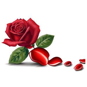 Red Rose Petals PNG 62 PNG image with transparent background