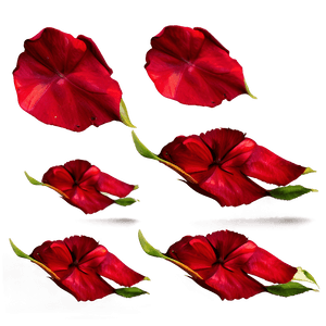 Red Rose Petals PNG oxd PNG image with transparent background
