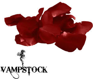 Red Rose Petalson Black Background.jpg PNG Image