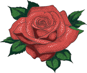 Rose Tattoo Png Image - Rose Shoe Designs Flower, Transparent Png PNG with transparent background