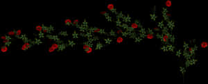Red Rose Vine Black Background PNG