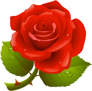 Red Rose With Dew Drops.png PNG Image