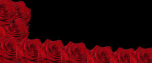 Red Roses Black Background PNG image with transparent background