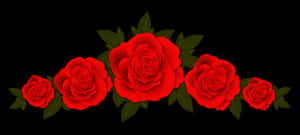 Red Roses Black Background PNG image with transparent background
